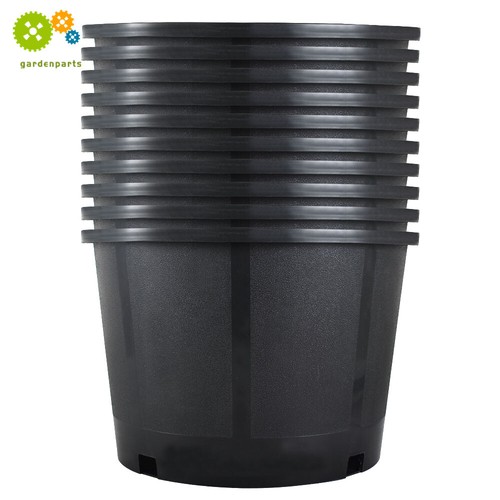 Black gallon 10pcs plant - gallon,
